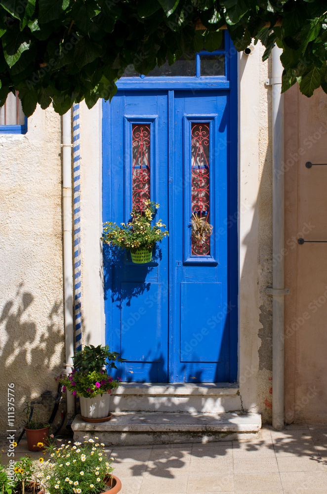 Blue door in natural plant frame - obrazy, fototapety, plakaty 