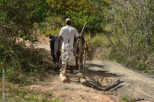 Kubanischer Bauer mit Transportschlitten