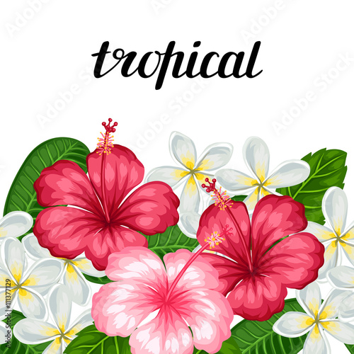 Seamless border with tropical flowers hibiscus and plumeria. Background made without clipping mask. Easy to use for backdrop, textile, wrapping paper