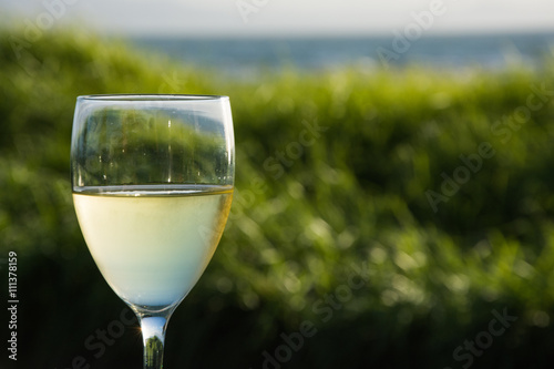 Glas of white wine with gras and ocean background 