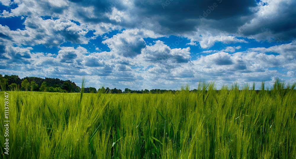 Obraz premium Blick in die Wolken