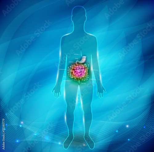 Gastrointestinal tract abstract background