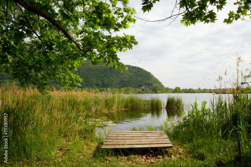 landscape of pond