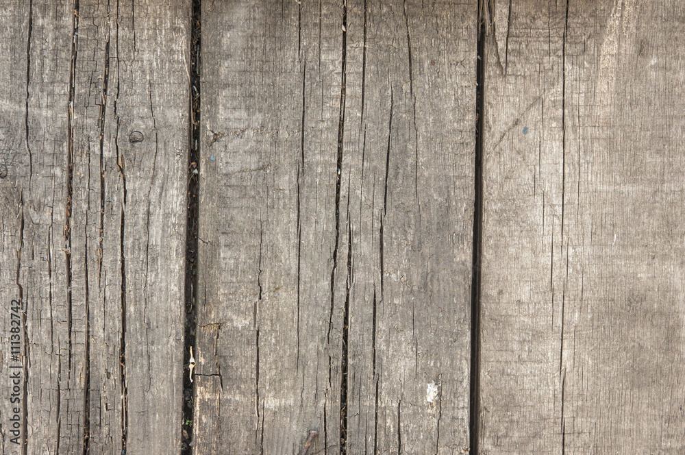 Fototapeta premium wood texture