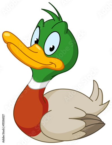 Smiling duck