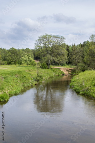 The forest river, current of water in the forest river
