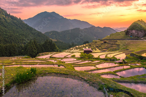棚田の夕景