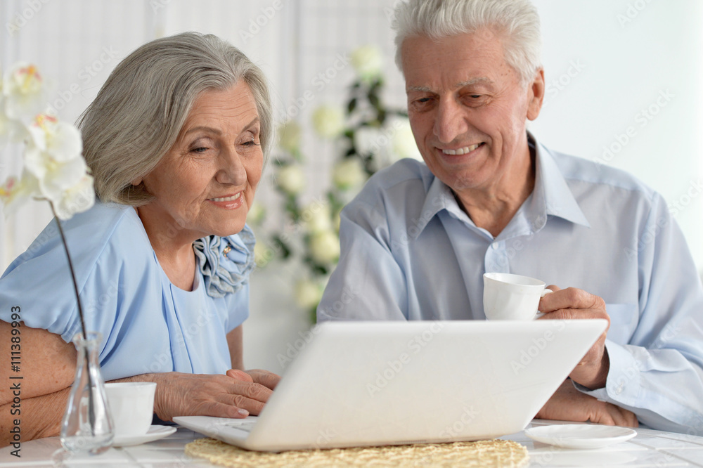 happy senior couple with laptop