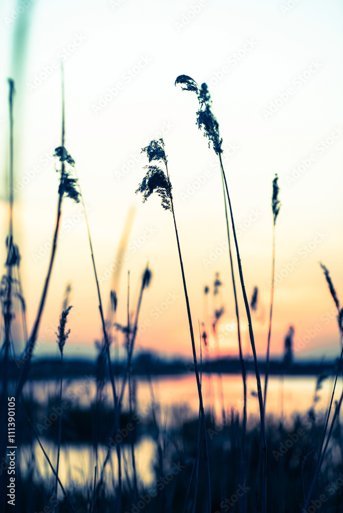 Obraz premium sunset over lake