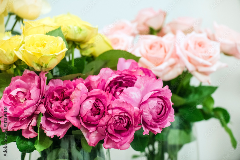 nice roses nice roses