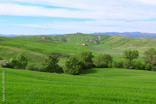 Typical Tuscany landscape springtime