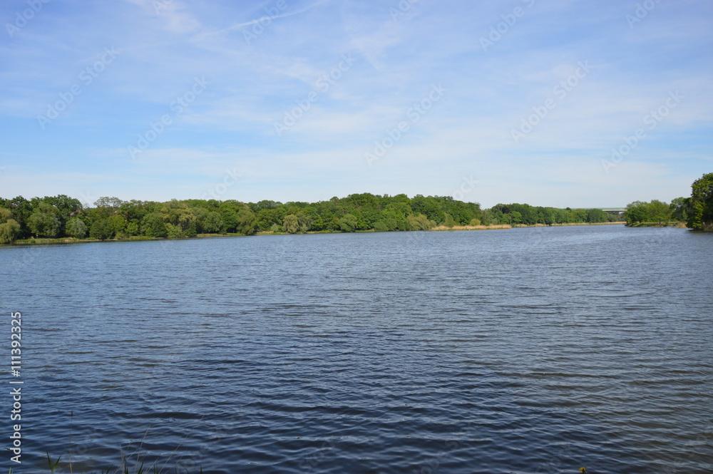 Pond Pond