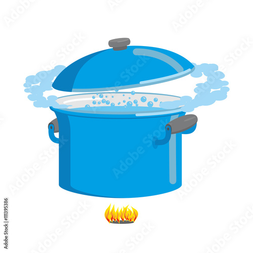 Boiling pot of water. Cookware for cooking