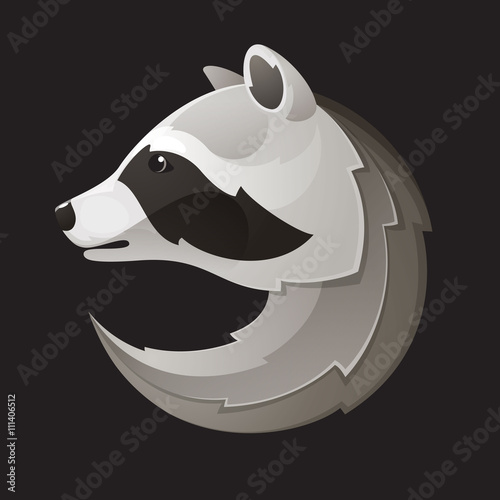 Raccoon logo. Isolated raccoon head.