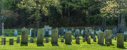 rows of gravestones from the 1800s  in old remote rural graveyard 
 photo