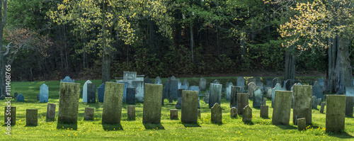 rows of gravestones from the 1800s in old remote rural graveyard 