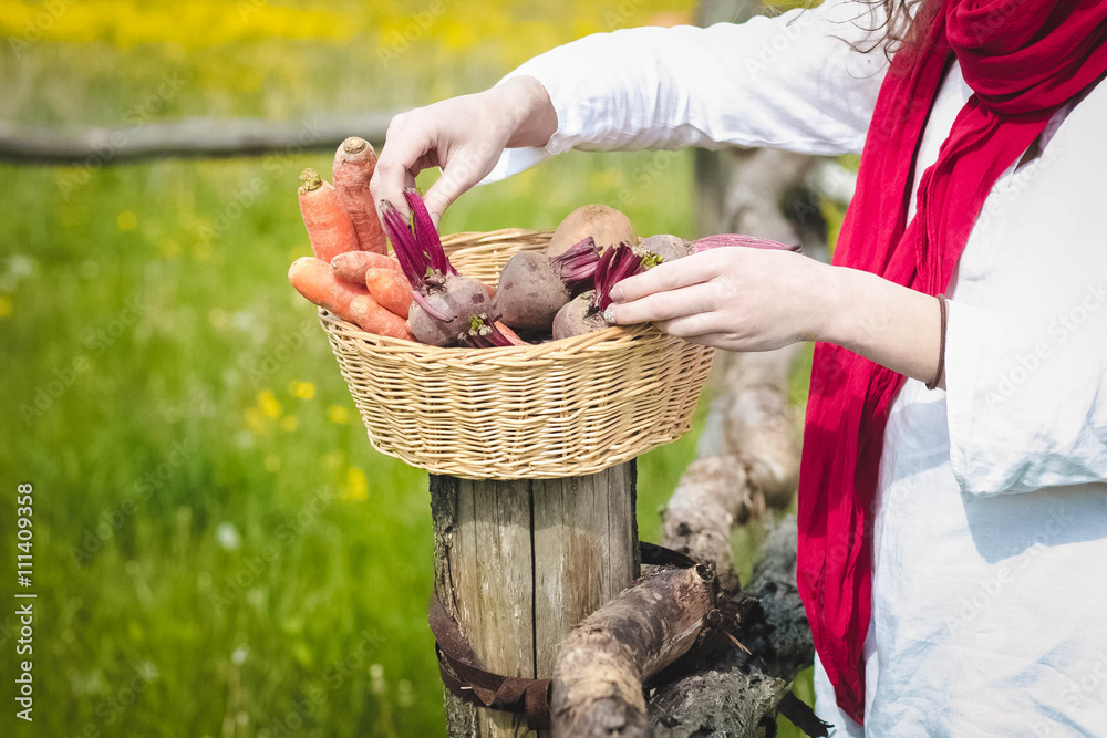 Fototapeta premium Girl with vegetable basket