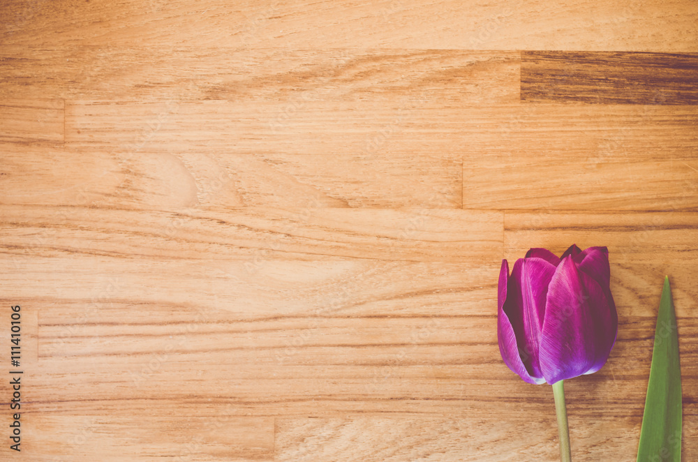 tulip blossom on a natural wood surface