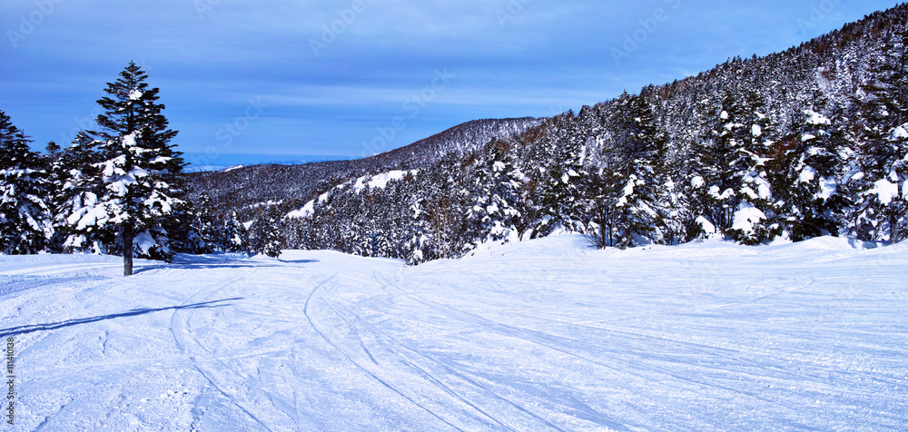 志賀高原　横手山スキー場の風景