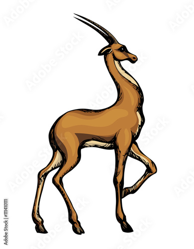 Antelope. Vector drawing