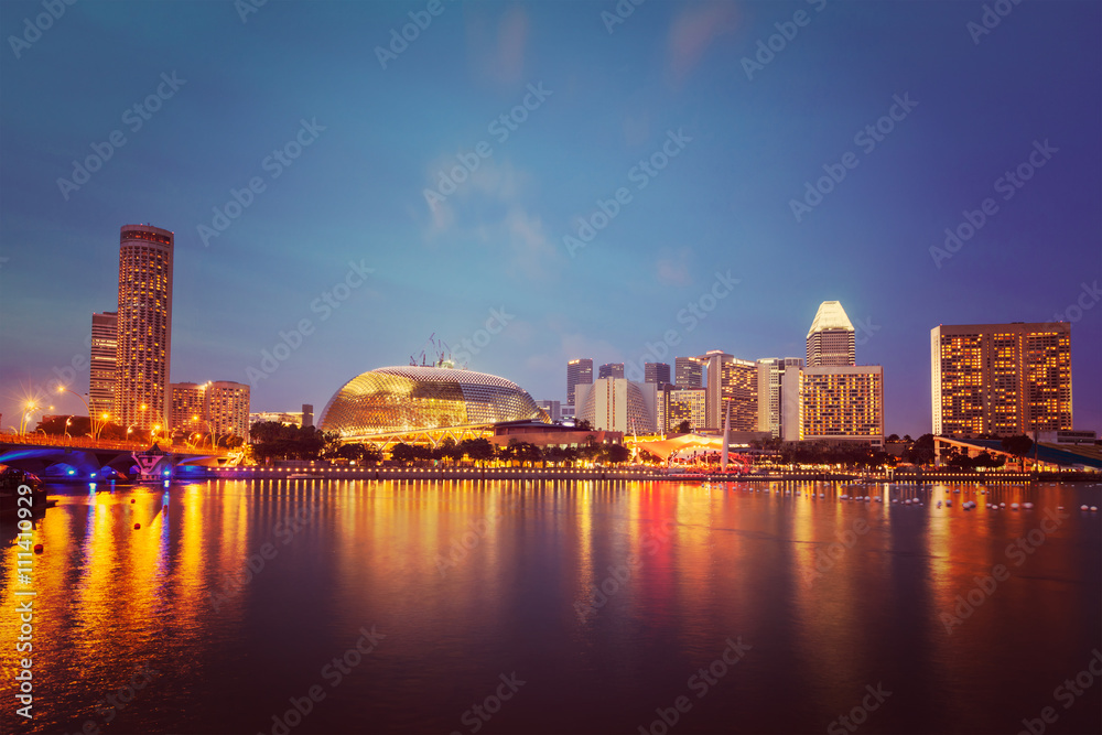 Fototapeta premium Singapore cityscape night