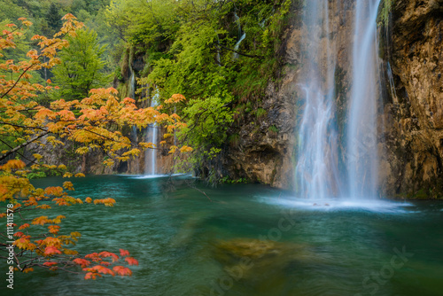 scene with waterfall and orange maple branch