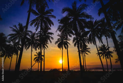 Silhouette coconut palm trees on beach at sunset. Vintage tone