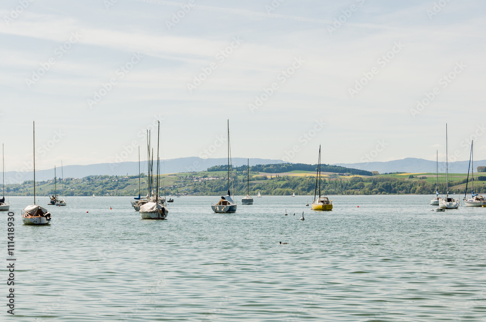 Obraz premium Murten, Murtensee, Seeufer, Mont Vully, Môtier, Schiffe, Weinberge, Seerundfahrt, Sommer, Schweiz