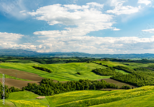 Scenic landscape with green hills and tree in Tuscany © Overburn