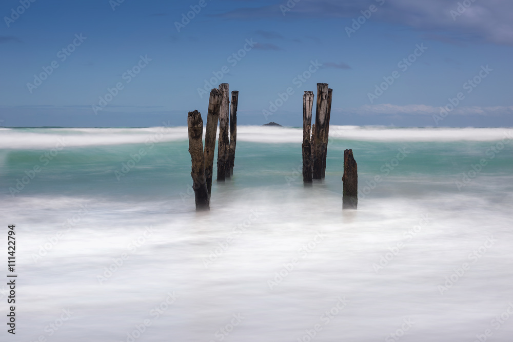 Fototapeta premium Wave Breaking/ an excellent wave peaks and breaks at Blackhead Beach, Dunedin, South Island, New Zealand