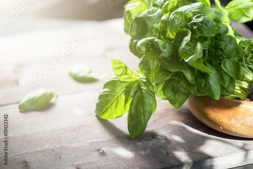 Fresh organic basil