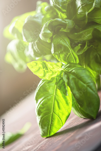 Fresh organic basil