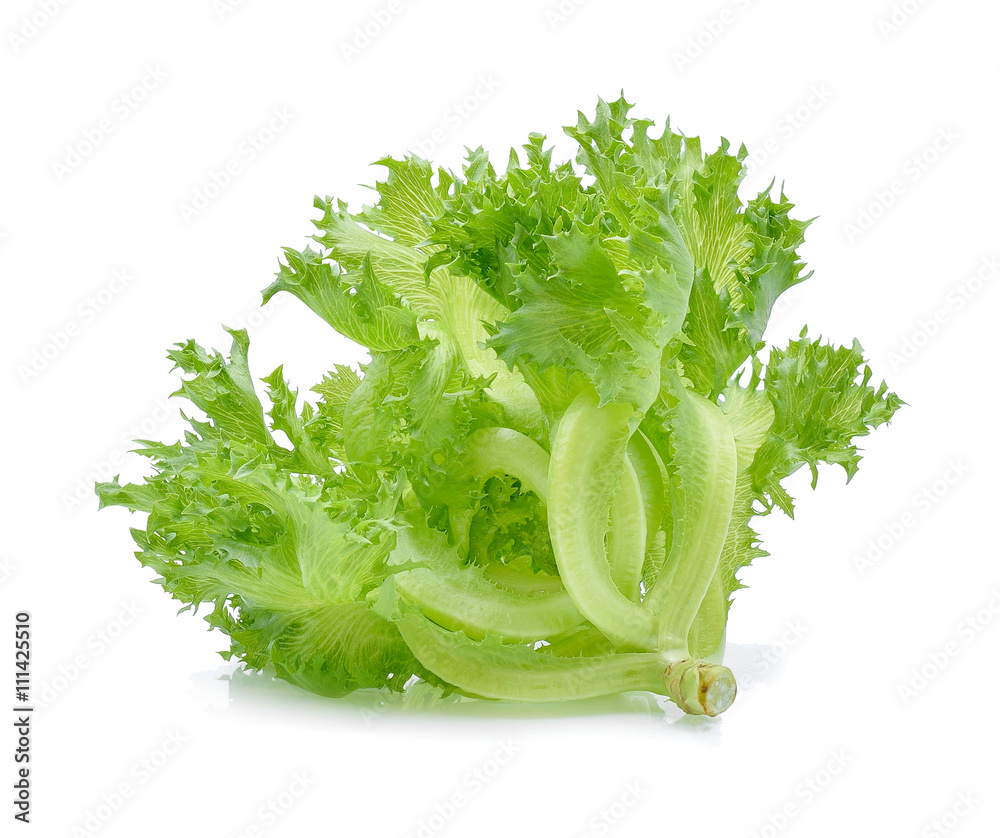 Green Iceberg lettuce on white background Green Iceberg lettuce on white background