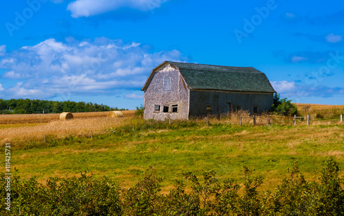 rural landscape with a barn 