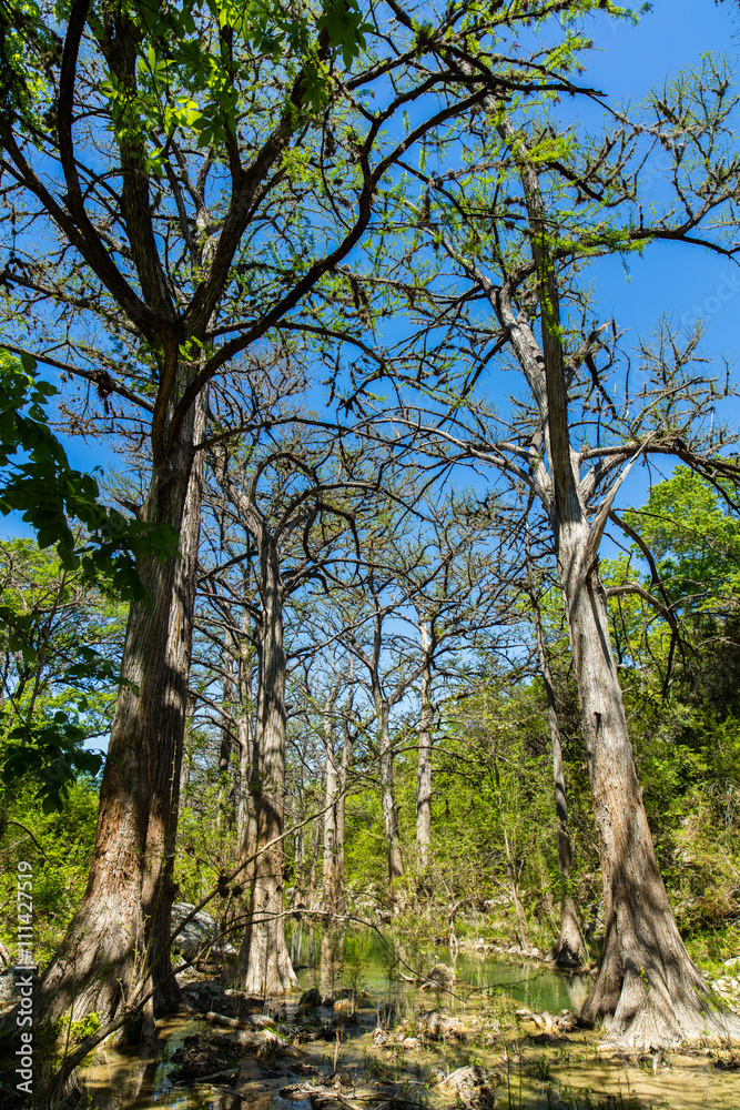 Texas Hill Country