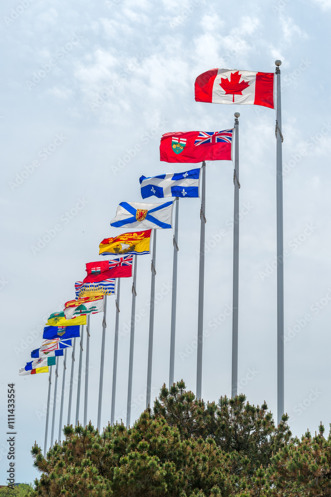 Picture of the canadian Flag along with the flags of the 10 Canadian