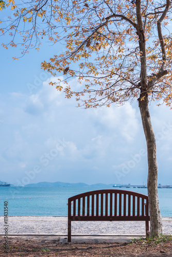 Chair under the tree at seaside.