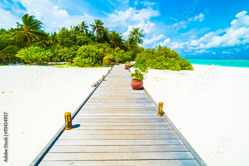 Fototapeta Naklejka Na Ścianę i Meble -  Maldives island