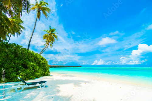 Maldives island © siraphol