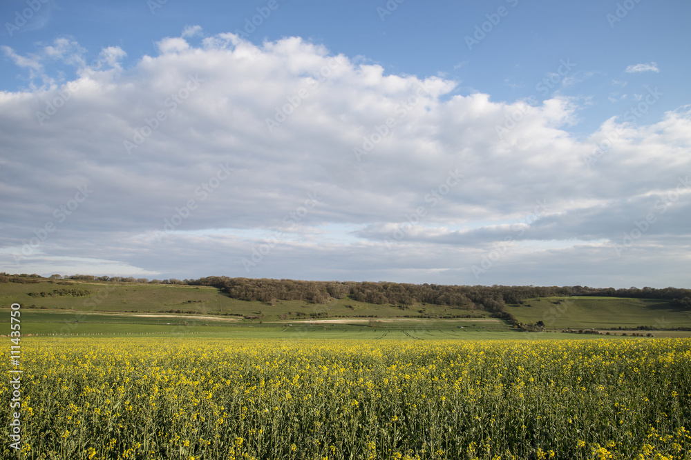 Beautiful English countryside landscape over fields at sunset