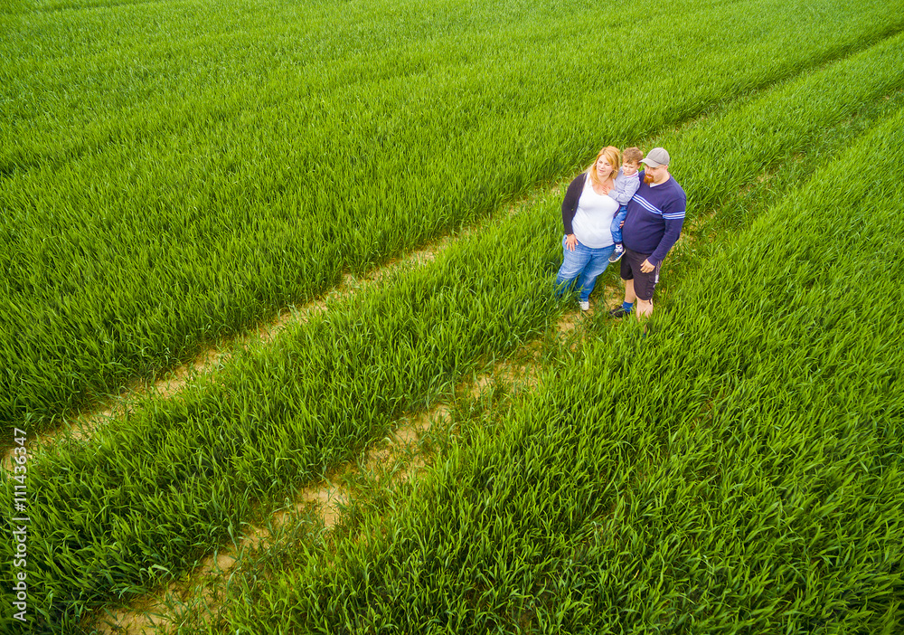 Aerial view of young farmer's family together on green wheat field. Agriculture and sustainable development. People working and enjoying life on countryside. Family using drone for selfie taking. Aerial view of young farmer's family together on green wheat field. Agriculture and sustainable development. People working and enjoying life on countryside. Family using drone for selfie taking.