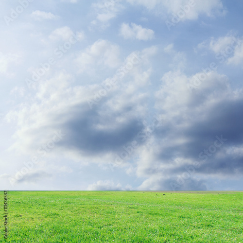 The landscap sky and grass on background
