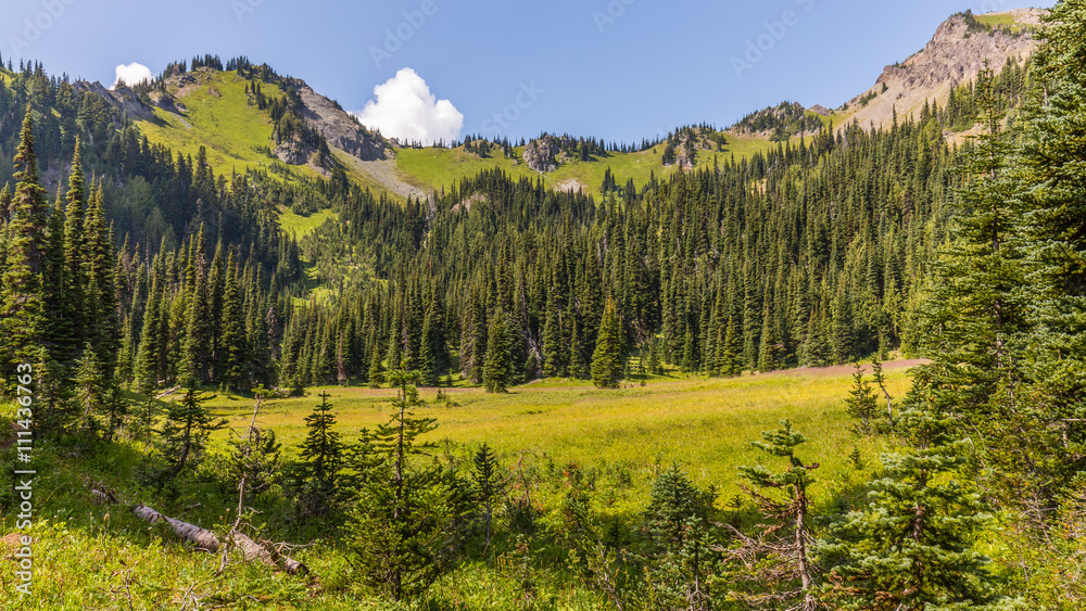 Summer landscape in the mountains. PALISADES LAKES TRAIL, Sunrise Area, Mount Rainier