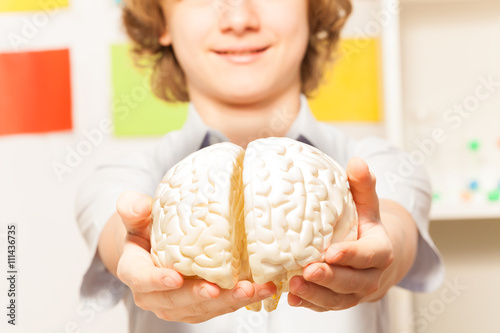 Smiling boy holding cerebrum model at his hands photo