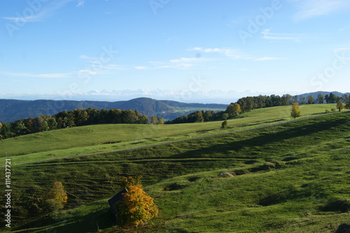 vue des alpes