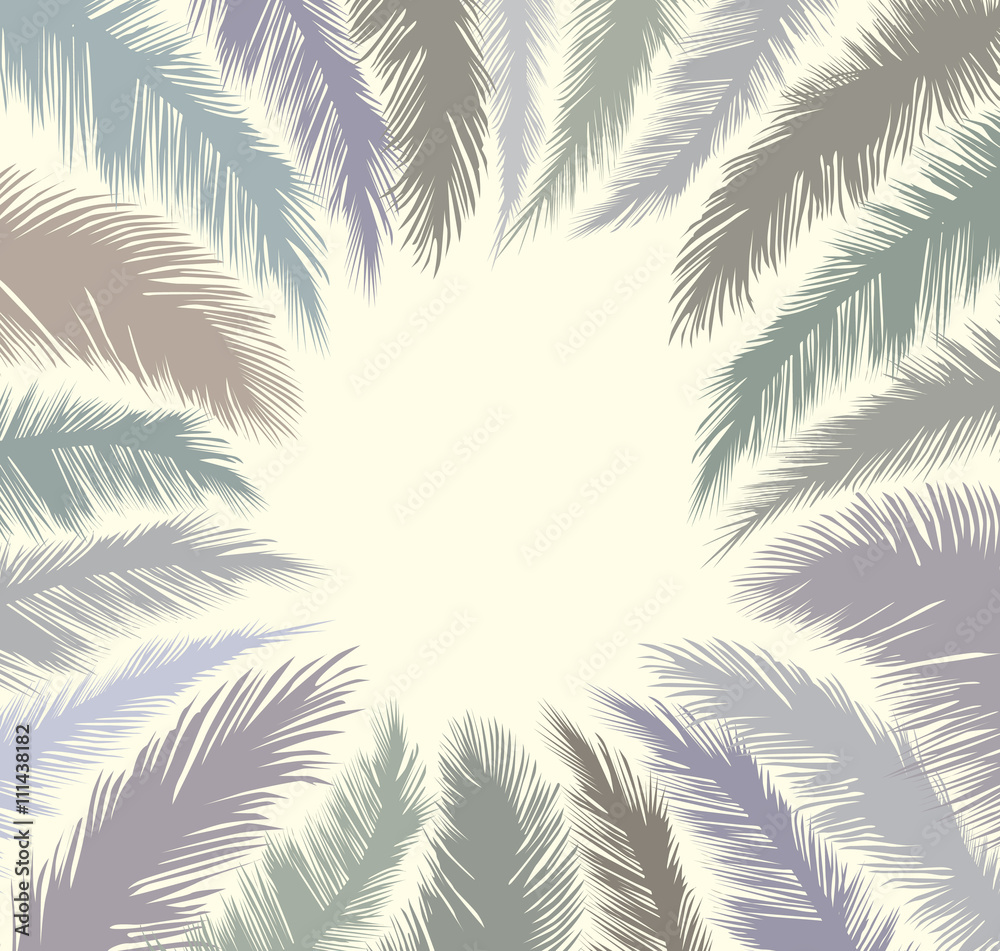Exotic rainforest leaves floral vector background. Palm leaves frame.