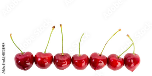 Wallpaper Mural Kirschenreihe vor weiß Torontodigital.ca