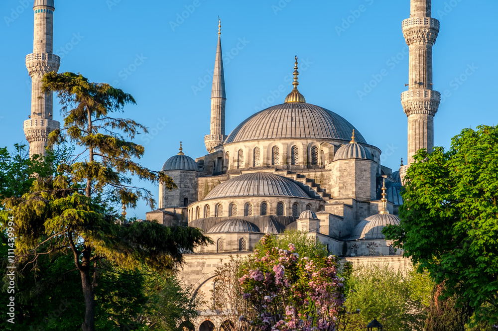 Obraz premium Blue Mosque view