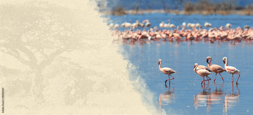 Fototapeta premium Flamingos on textured paper