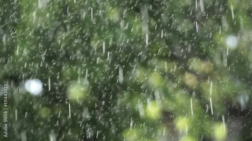 Summer rain in the garden or in the park